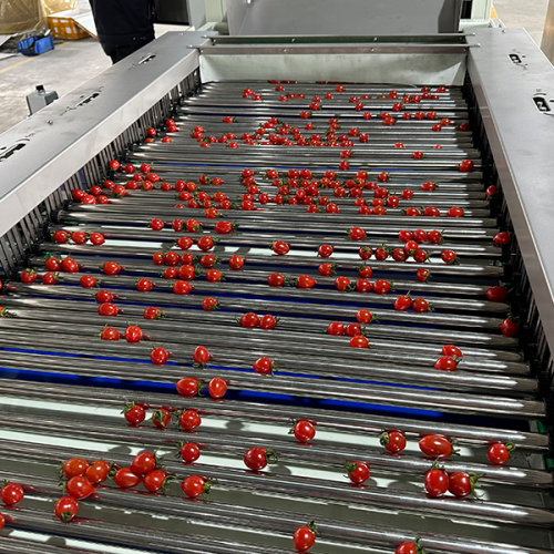 cherry tomato roller grading equipment cherry tomato roller grading equipment