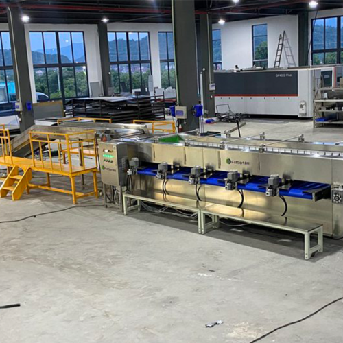 litchi sorting machine litchi sorting machine