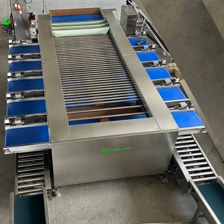 litchi grading machine